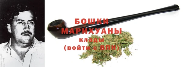 mdpv Богородск