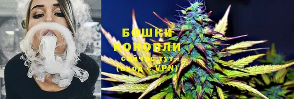 mdpv Богородск