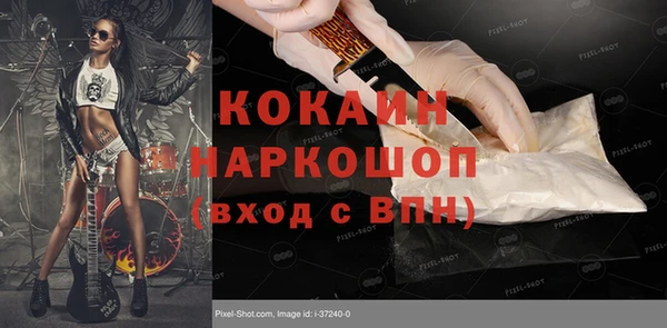 дживик Богородицк