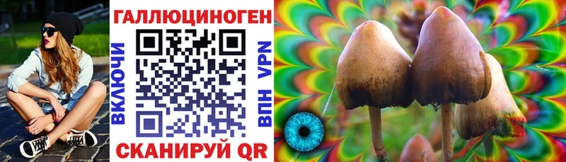 Галлюциногенные грибы прущие грибы  Северск 