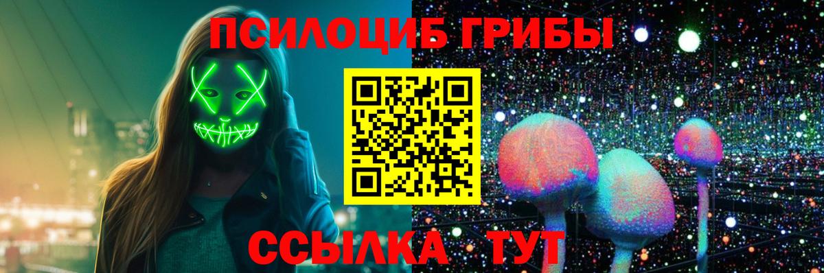 Псилоцибиновые грибы прущие грибы Северск