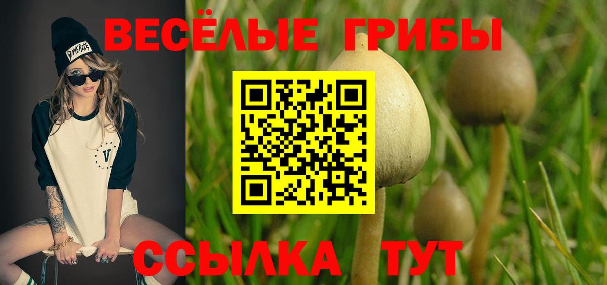 Северск  Галлюциногенные грибы мухоморы  Вход с VPN 