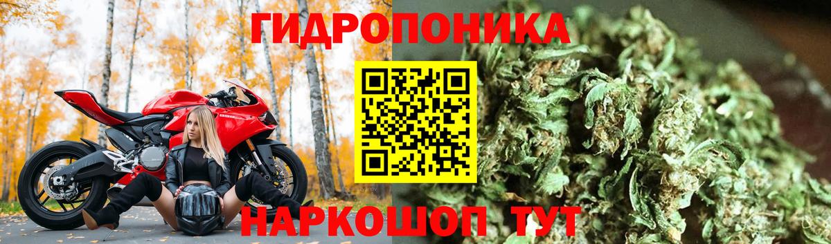Бошки марихуана Amnesia  Каннабис SATIVA & INDICA  Бошки Шишки семена  Шишки марихуана White Widow  Вход с VPN  Северск 